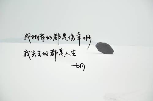 12个漂亮的句子