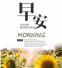 早上好