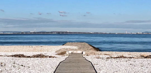 没有什么是无可替代的，包括我和你