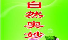 校园安全名言警句大全