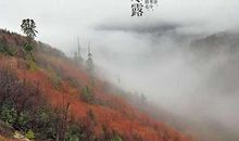 关干风景的谚语