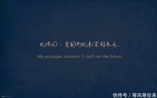 情感经典语录2019