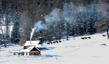 冬天的雪比喻句