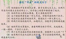 描写人物的句子