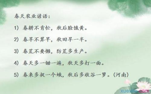 三年级农业谚语
