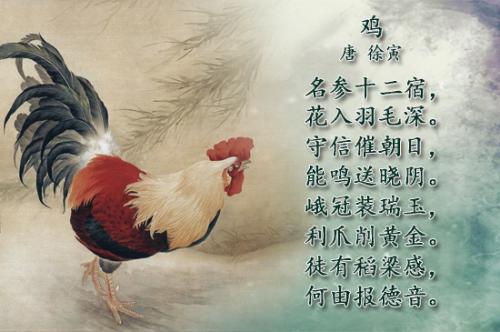 鸡的诗句