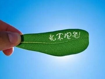 不要抱怨终身监禁