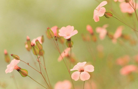 过去是经验，现在是尝试，未来是期望1