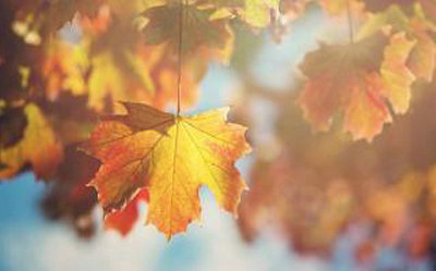 珍惜生命-如果上帝仍然让你活着，那一定是他的安排