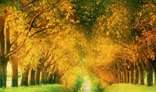 关于自然风景的谚语