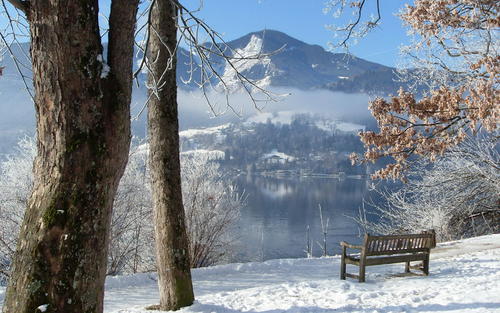 拟人化的句子描述冬天的雨