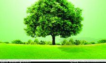 保护森林的环保标语