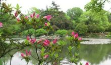 含风景名胜的谚语