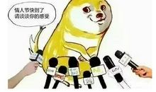 情人节幽默段子大全爆笑