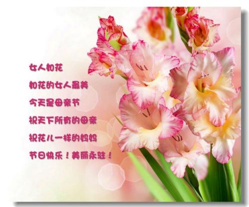 商业母亲节的祝福