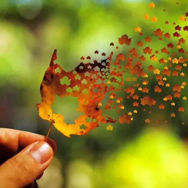 2018最新微信话题