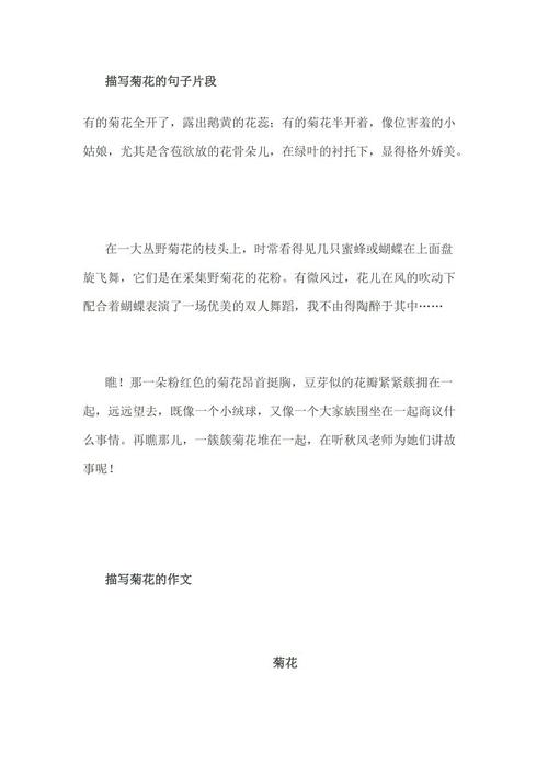 描述菊花的段落