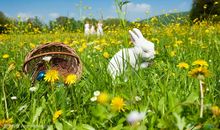 春天周末祝福短信