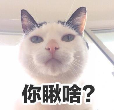 谈论晒太阳的朋友的圈子