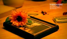 让人懂得珍惜的句子