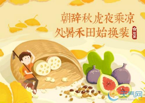 包含理性的谚语