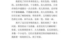 赞美或祝福妈妈的话