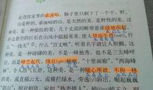 用春季写拟人句