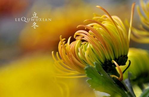 立冬朋友圈祝福语