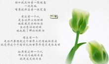 关于道理的名言谚语