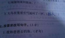 写彩虹的拟人句