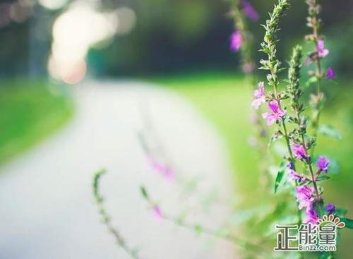 2019最新个性讲座