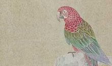 反映气候物象的谚语