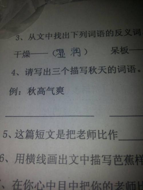 秋天的单词和谚语