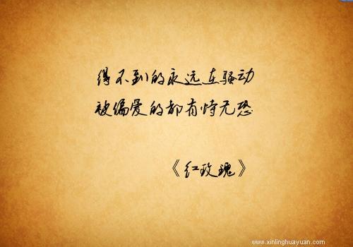 什么经文描述爱