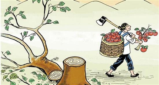 关于理性的谚语和俗语