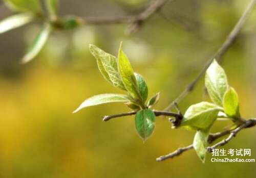 比喻句描述勇气