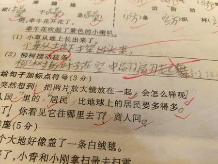 罗斯写拟人化的句子