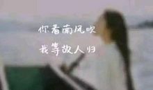 2020最经典的伤感语录