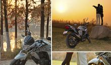 游龙随月经典语录