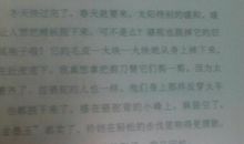 读城南旧事好词好句