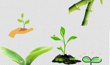 春天小草拟人句