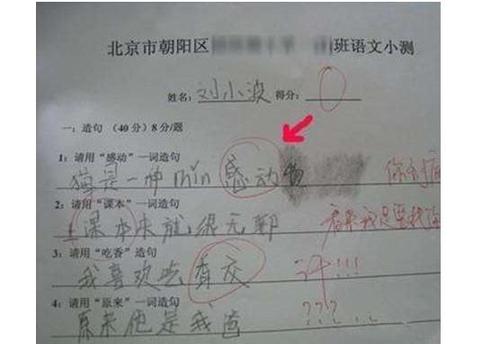 需要完整的句子