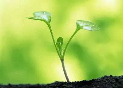 绝望，大胆尝试并常常成功的事情1