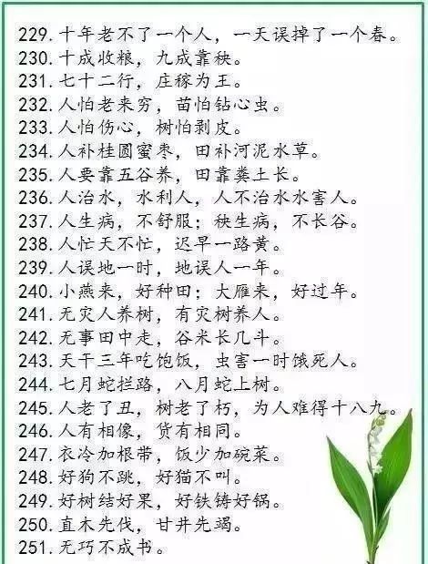 谚语说出人类的真相