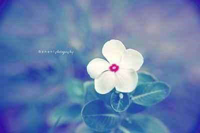 记忆是弱者的出路；只有前瞻才能赢