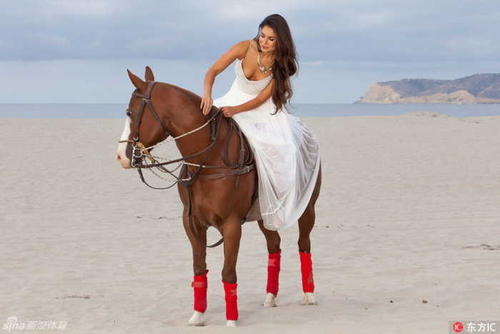 描述骑马的句子