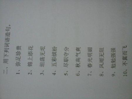 一句话秋天很酷