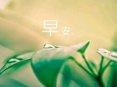 记忆是弱者的出路；只有向前看，您才能赢得1