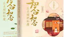 知否知否应是绿肥红瘦经典句子