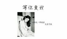 抖音里最流行句子